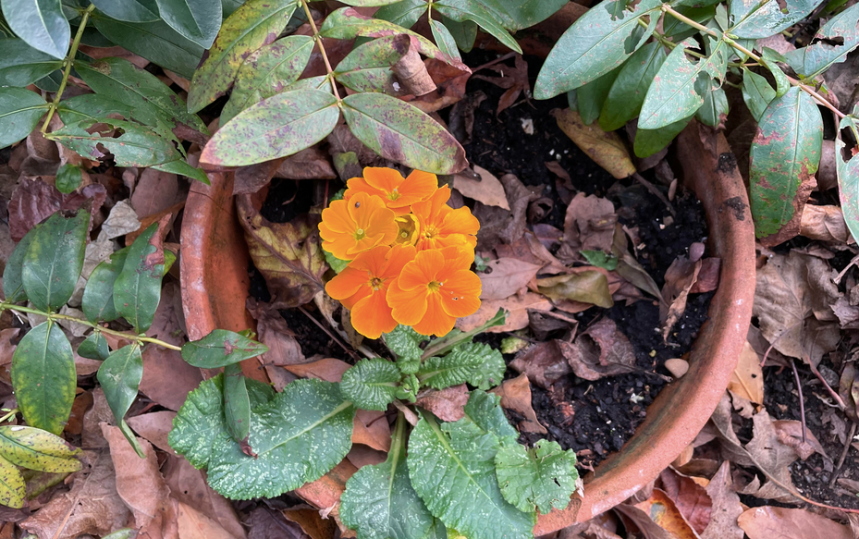 A Word for&nbsp;2022