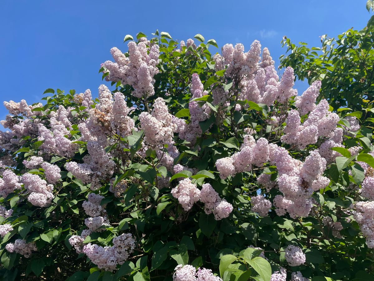 On My Radar&nbsp;(3)